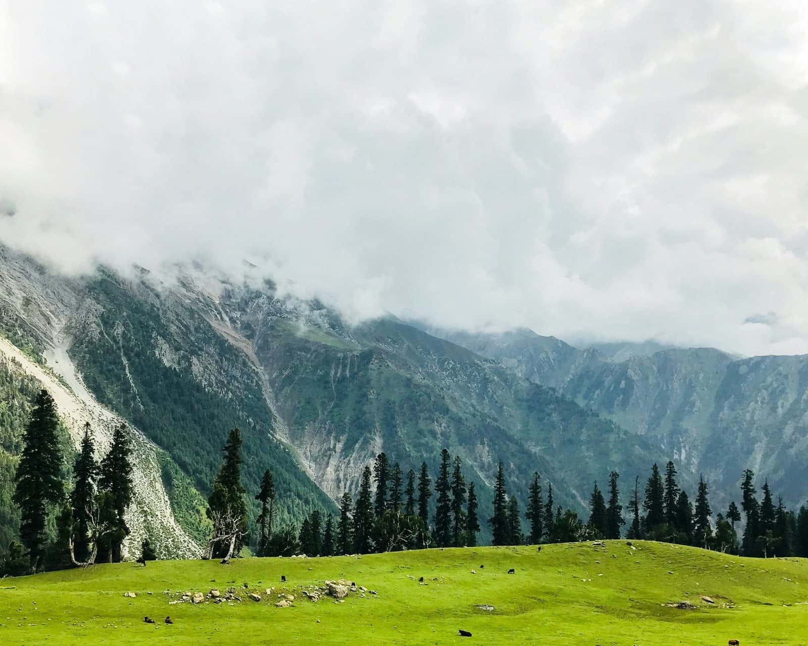 Fairy Meadows & Naran tour package landscape in Northern Pakistan